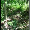 2002_jubuwo_015