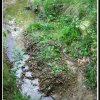 2002_jubuwo_021