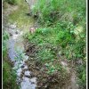 2002_jubuwo_022