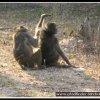 2003_sa_aktion_021