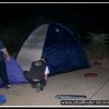 2003_sa_aktion_022
