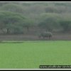 2003_sa_aktion_024