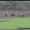 2003_sa_aktion_025