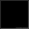 2004_jota_025