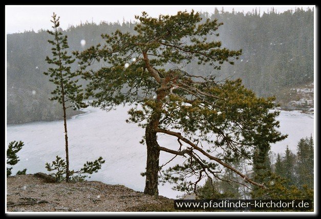 2005_suomi_aktion_037