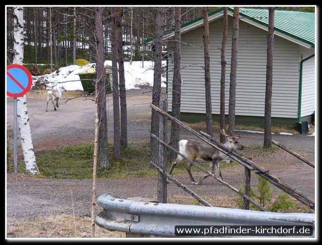 2005_suomi_aktion_085