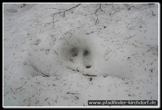 2005_suomi_aktion_095
