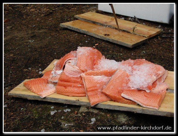 2005_suomi_aktion_157