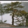 2005_suomi_aktion_037