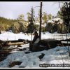 2005_suomi_aktion_038