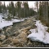 2005_suomi_aktion_041