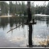2005_suomi_aktion_044