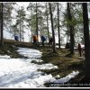 2005_suomi_aktion_047