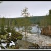 2005_suomi_aktion_057