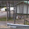 2005_suomi_aktion_085
