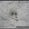 2005_suomi_aktion_095