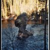 2005_suomi_aktion_115