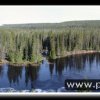 2005_suomi_aktion_125