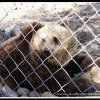 2005_suomi_aktion_145