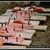 2005_suomi_aktion_160