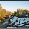 2005_suomi_aktion_170