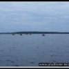 2005_suomi_aktion_231
