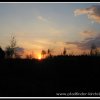 2005_suomi_aktion_240