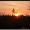 2005_suomi_aktion_241