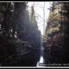 2005_suomi_aktion_253