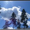 2005_suomi_aktion_263