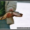 2005_suomi_aktion_272