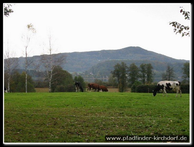 2006_jota_020