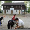 2006_jota_023