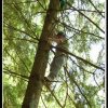 2006_lager_064