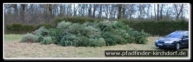 2007_weihnachtsbaumsammeln_001