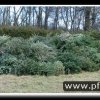 2007 - Aktionen - 2007 - Weihnachtsbaumsammeln