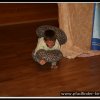 2008_jota_038