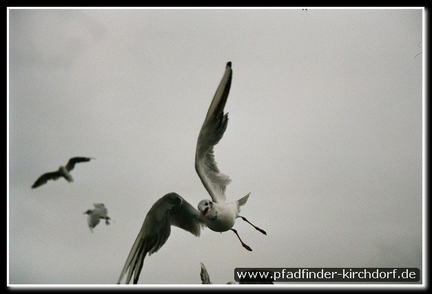 2008_lager_nordsee_090