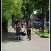 2008_lager_nordsee_018