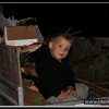 343_bc_2010_