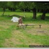 2010_stammeslager_023