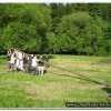 2010_stammeslager_035