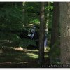 2010_stammeslager_072