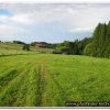 2010_stammeslager_076