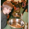 2010_stammeswe_060