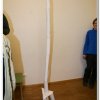 2010_stammeswe_075