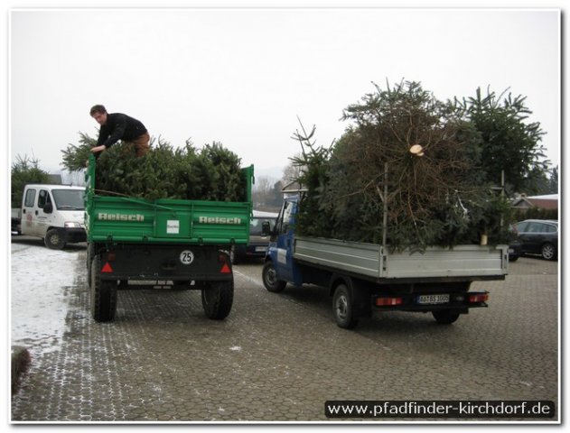 2010_weihnachtsbaumsammeln_001