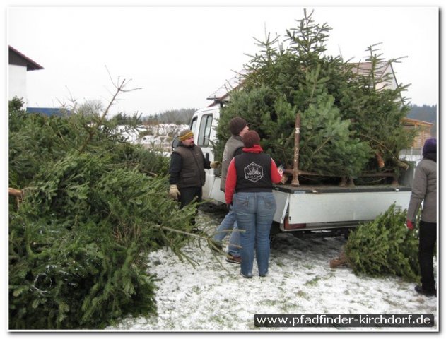 2010_weihnachtsbaumsammeln_003