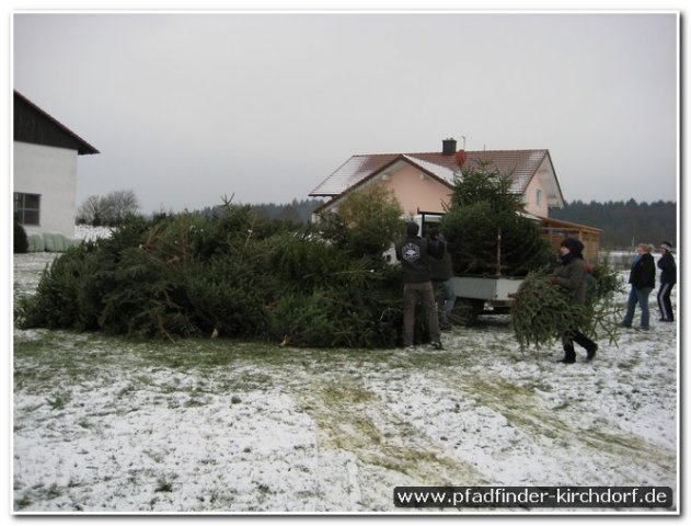 2010_weihnachtsbaumsammeln_006