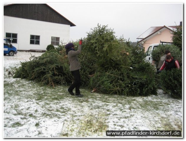 2010_weihnachtsbaumsammeln_007